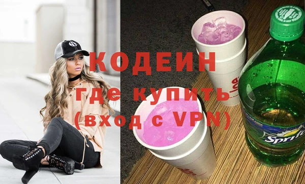 дживик Няндома