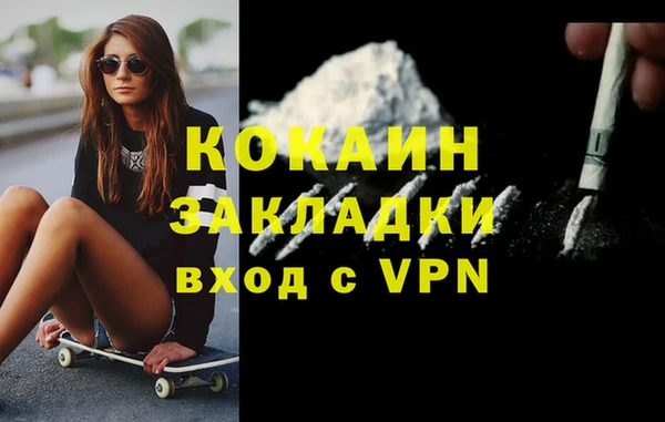 стаф Новодвинск
