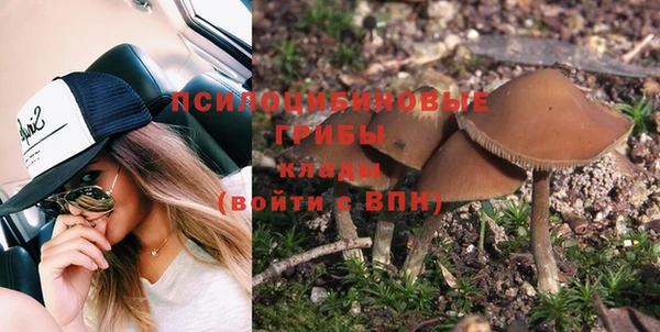 apvp Новокубанск