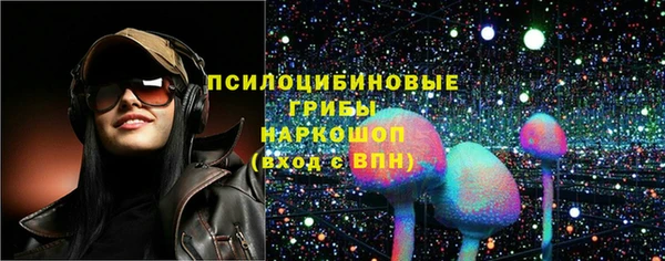 мет Новозыбков