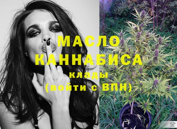 мет Новозыбков