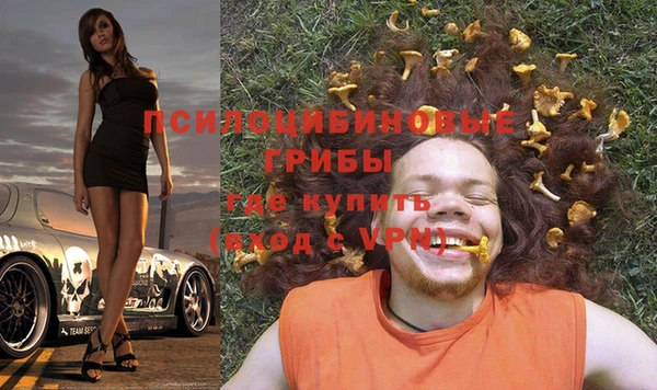 стаф Новодвинск