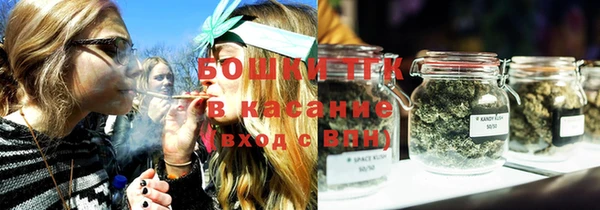 стаф Новодвинск