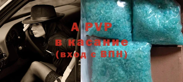 стаф Новодвинск