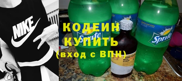 дживик Няндома