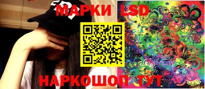 бошки Гатчина