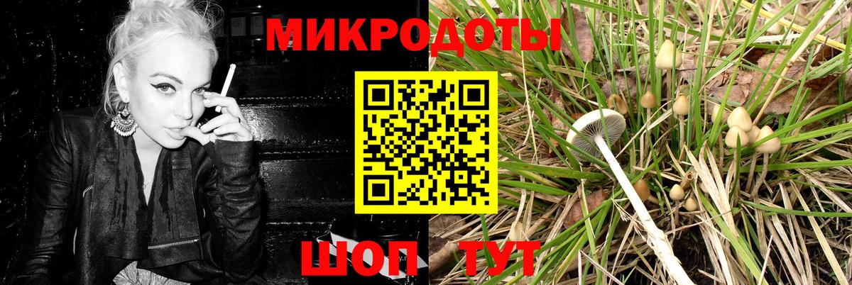 Псилоцибиновые грибы Psilocybine cubensis  Ирбит 