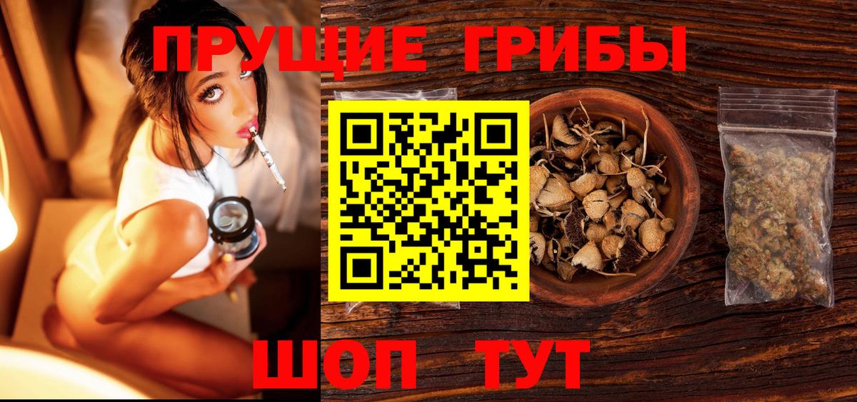 Галлюциногенные грибы мухоморы  Вход с VPN  Галлюциногенные грибы прущие грибы  Ирбит 