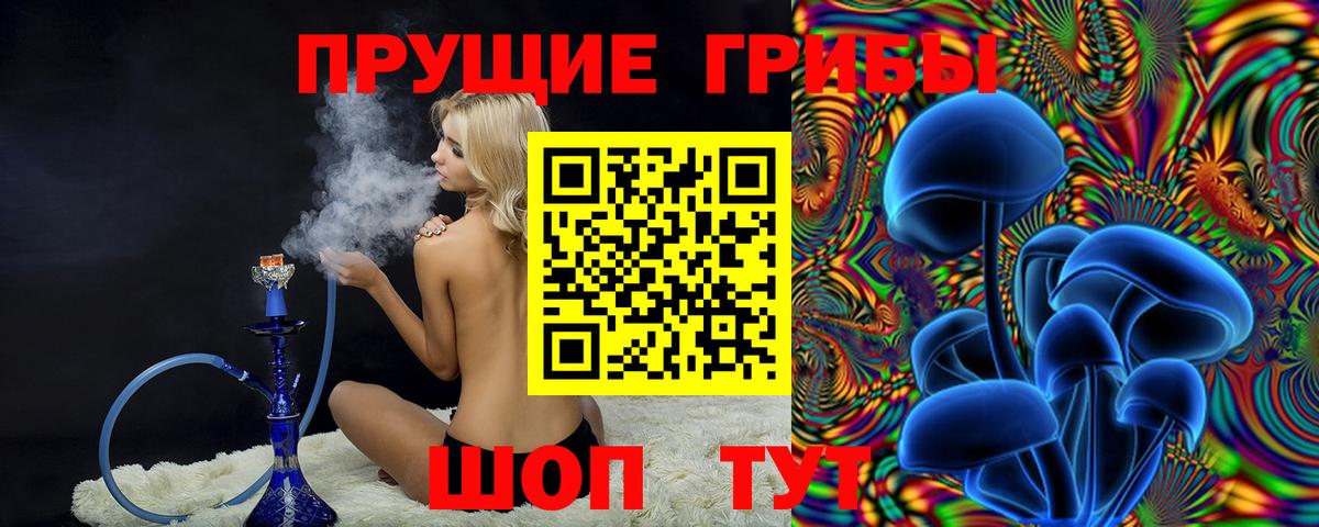 Галлюциногенные грибы Psilocybine cubensis Ирбит